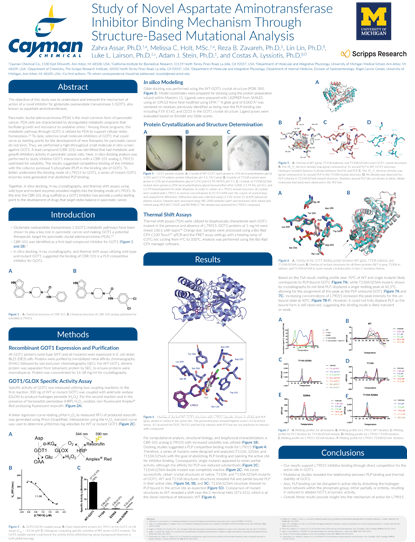 Study of Novel Aspartate Aminotransferase Inhibitor Binding Mechanism Through Structure-Based Mutational Analysis<br>